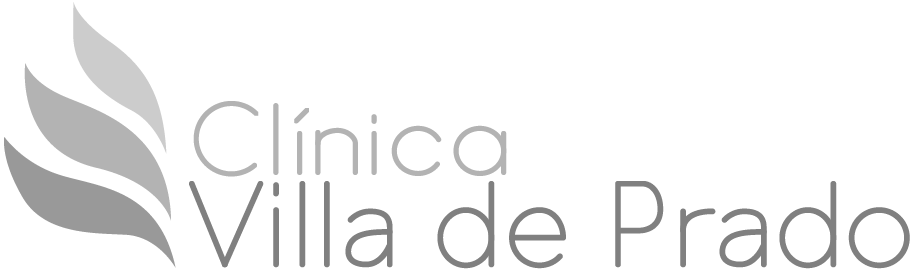 Logotipo Villa del Prado Gris